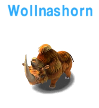 Wollnashorn       